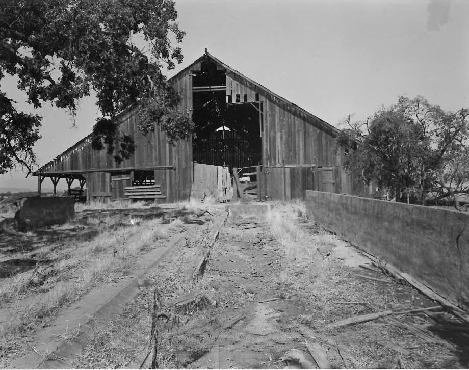 The Dairy, north of Metcalf Road - Feed Barn, 1978