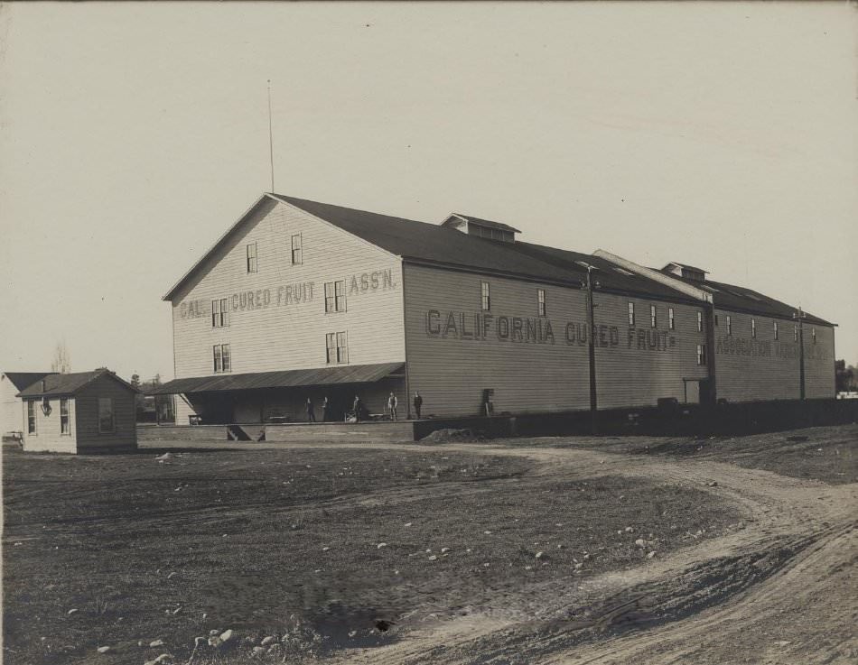 California Cured Fruit Association, 1920s