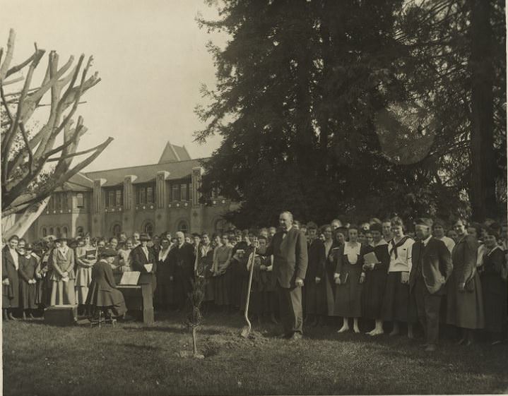 Tree-planting ceremony on the grounds of San Jose State Teachers College, San Jose, 1925