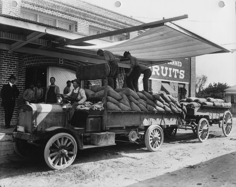 Transporting fruit for canning by open truck, 1925