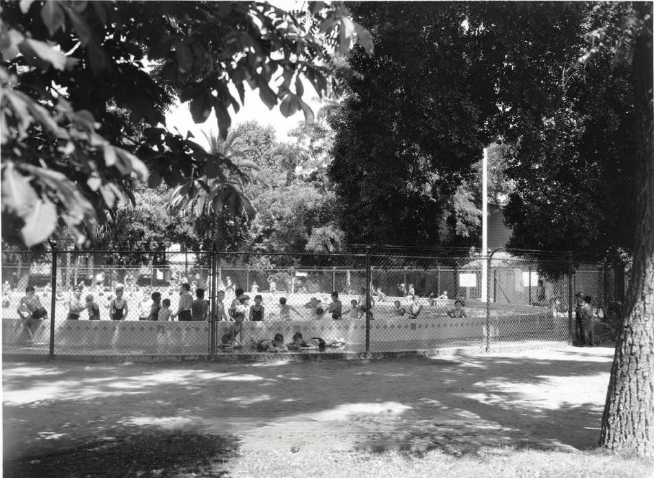 Children playing in Ryland Pool at Ryland Park. 421 North First Street, San Jose, 1960s