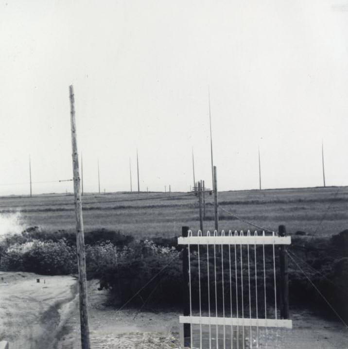 Lobitos 256 Acres – West, 1966