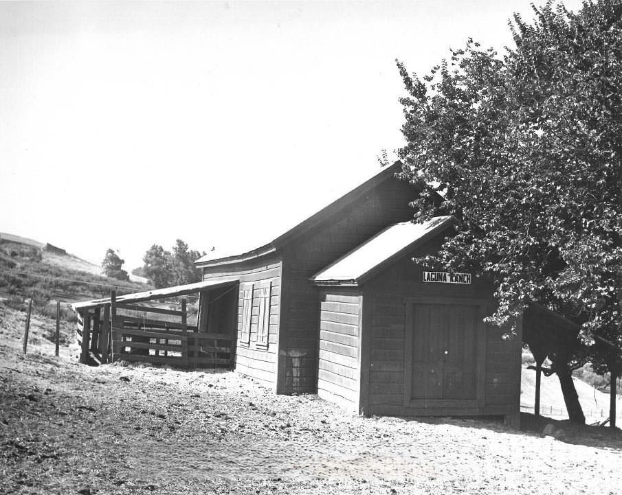Laguna School, 1970s