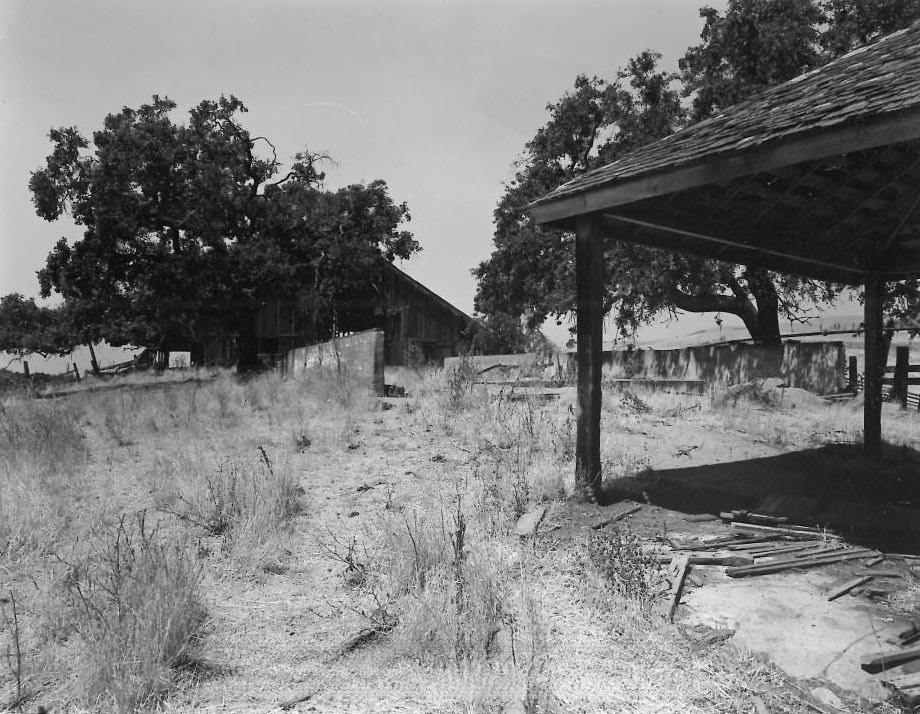 The Dairy, north of Metcalf Road - General View, 1978