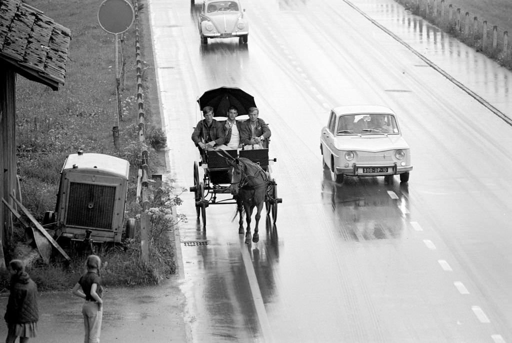 Holiday trip on a horse drawn carriage: 3 young men in the region of Biel, 1970