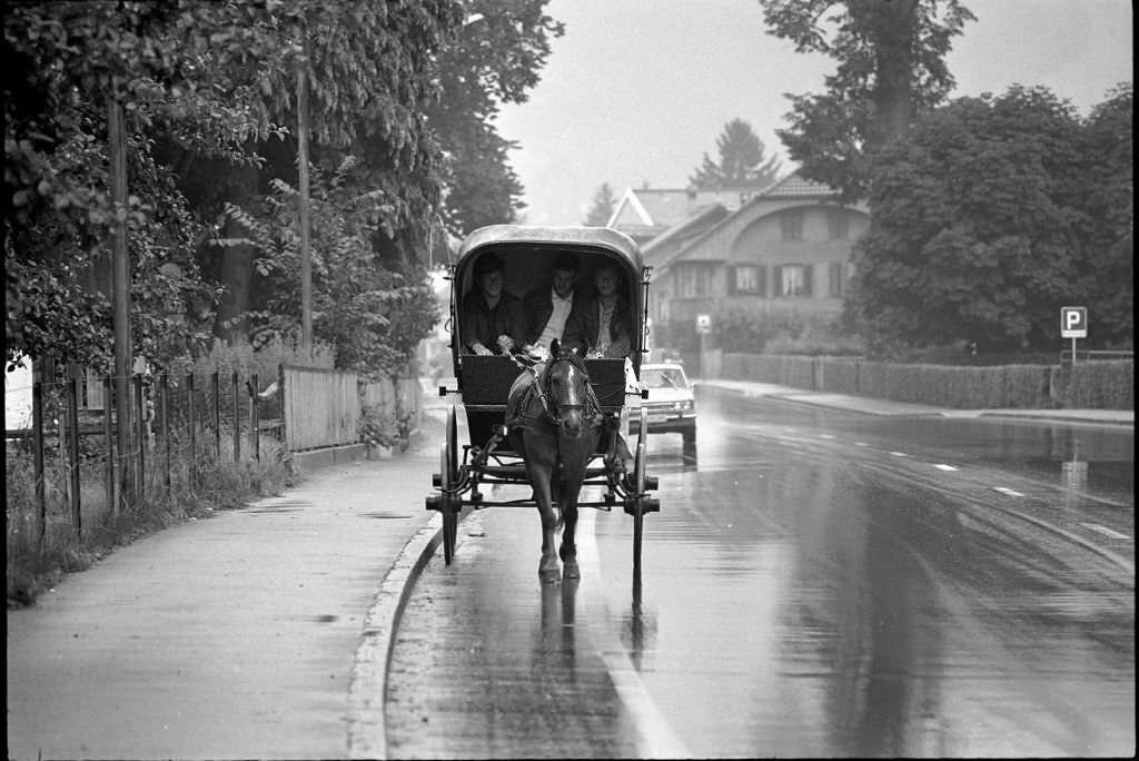 Holiday trip on a horse drawn carriage: 3 young men in the region of Biel, 1970