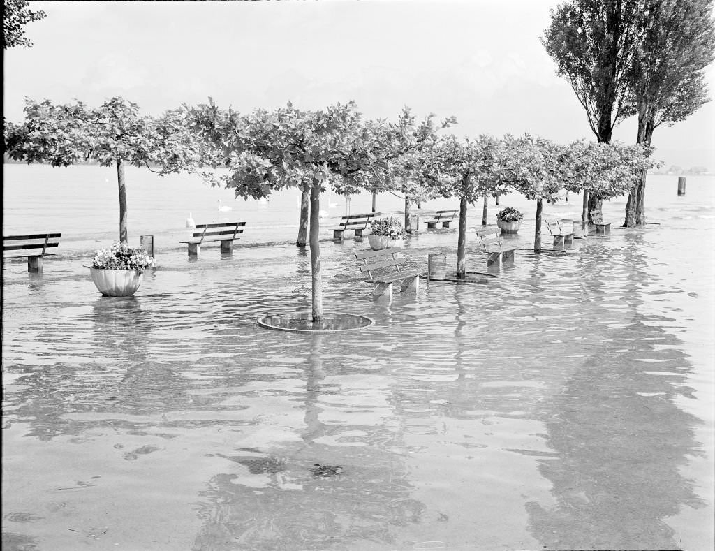 Flood at Lake Constance, 1970