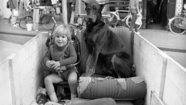 Street Life of Amsterdam in 1981 Through the Lens of Simon Nowicki