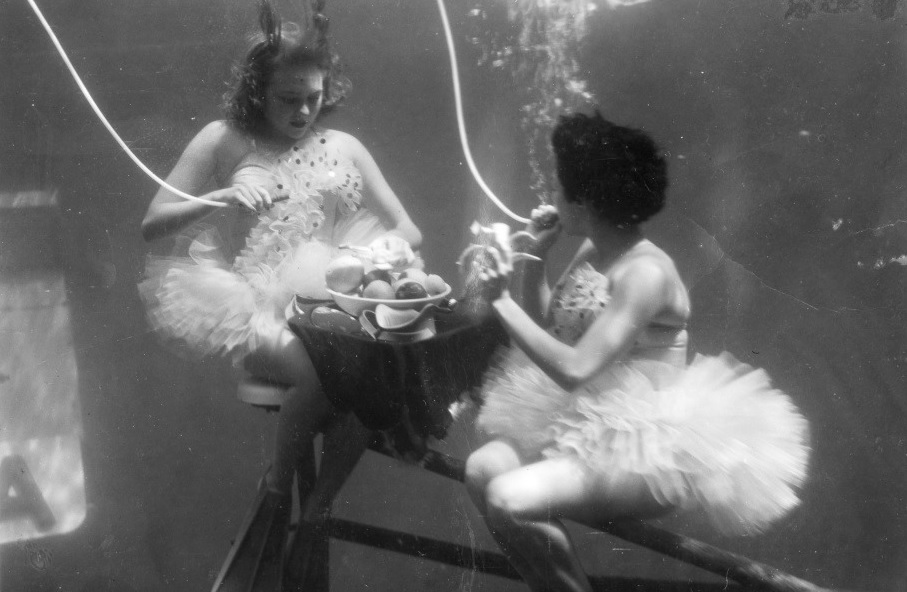Aquarena Springs