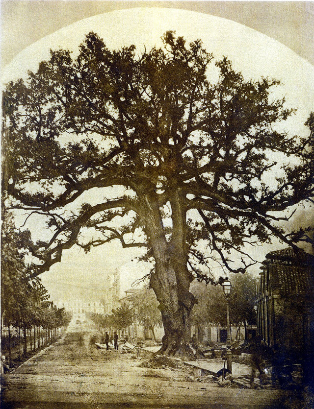 What Asturias, Spain looked like in the Late 19th Century