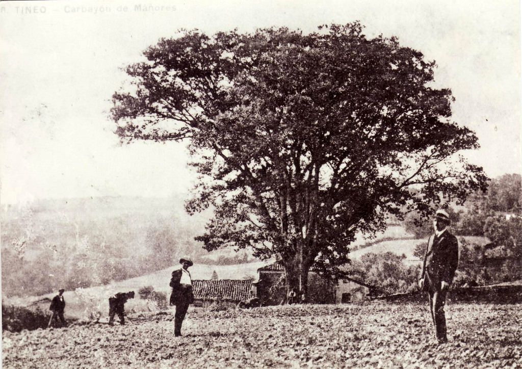 What Asturias, Spain looked like in the Late 19th Century