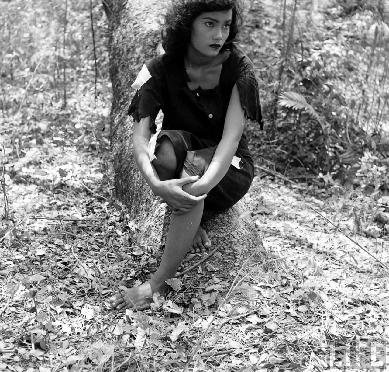 Stunning Portraits of a Beautiful Bangkok Girl in the Garden, 1950s