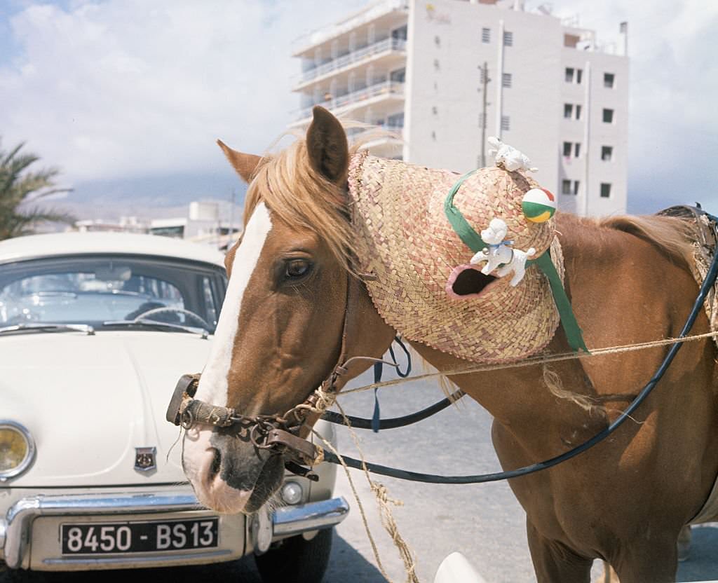 Benidorm, 1964.