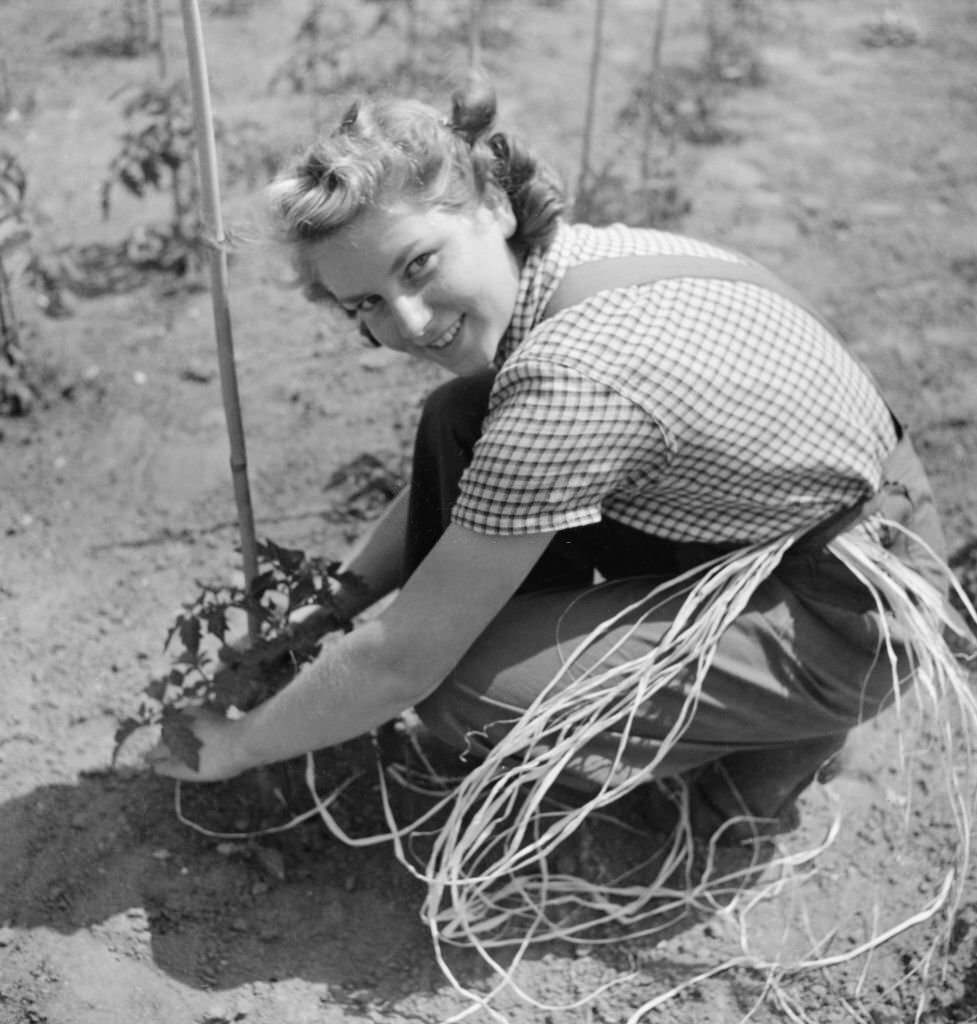 Cecil Beaton Photographs: Women's Horticultural College, Waterperry House, Oxfordshire, 1943