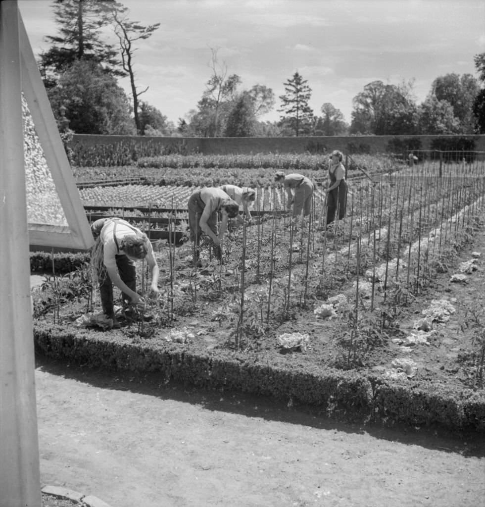 Cecil Beaton Photographs: Women's Horticultural College, Waterperry House, Oxfordshire, 1943