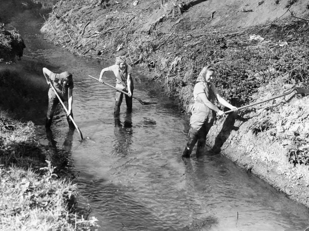 Recruits of the Women's Land Army prepare for ploughing at Hanley Brook, Upton On Severn, Worcestershire during the Second World War, 11th September 1942.