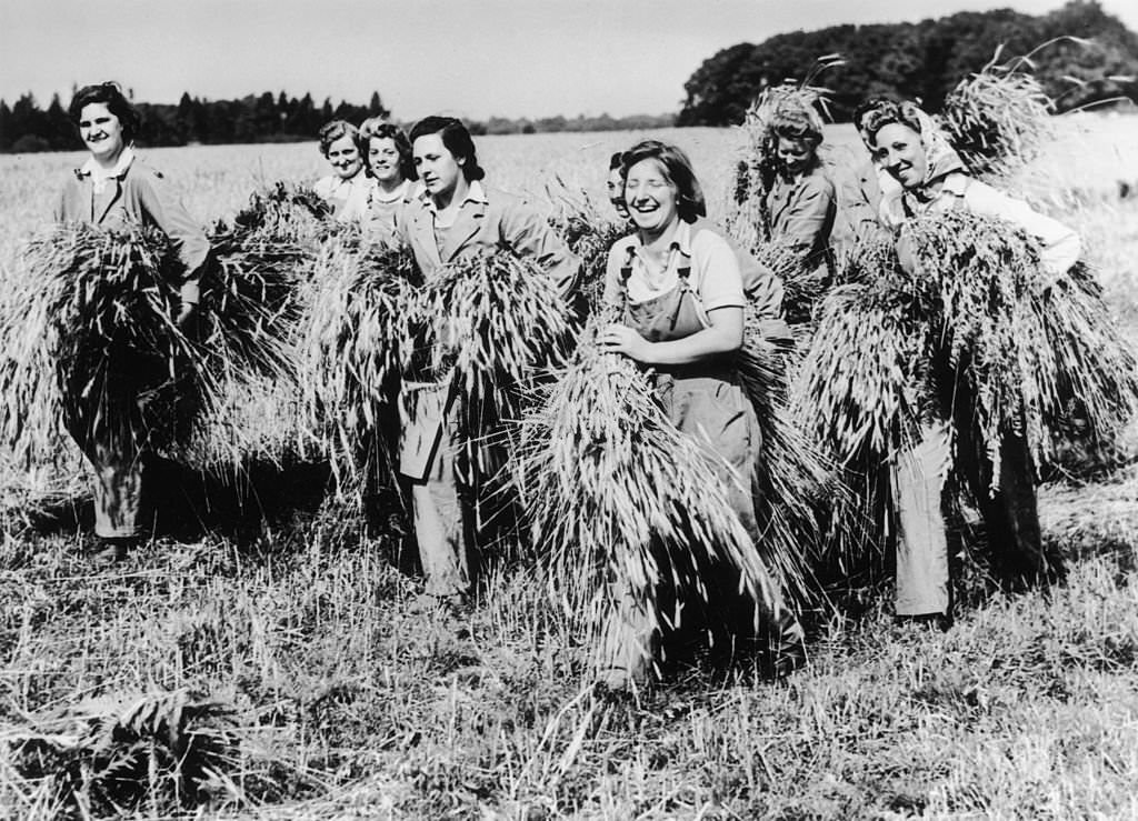 Women gathering in the rye harvest in East Suffolk, since the wartime announcement that the crop may now be used in Britain's bread, 11th August 1942.