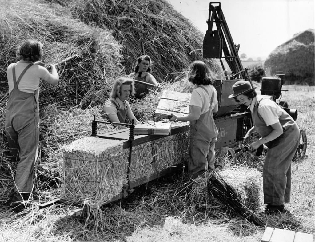 Women of the Women's Land Army using a baling machine to bale hay on a farm in West Suffolk, 1942
