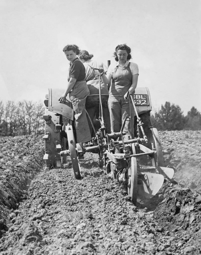 Three members of the Women's Land Army (WLA) at work ploughing furrows in the earth behind a tractor on 16th May 1942 at Hewens Wood farm in Bradfield, Berkshire, United Kingdom.