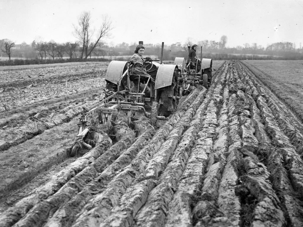 Two young women ploughing a field with a triple (foreground) and a single furrow plough hauled by tractors, 1942