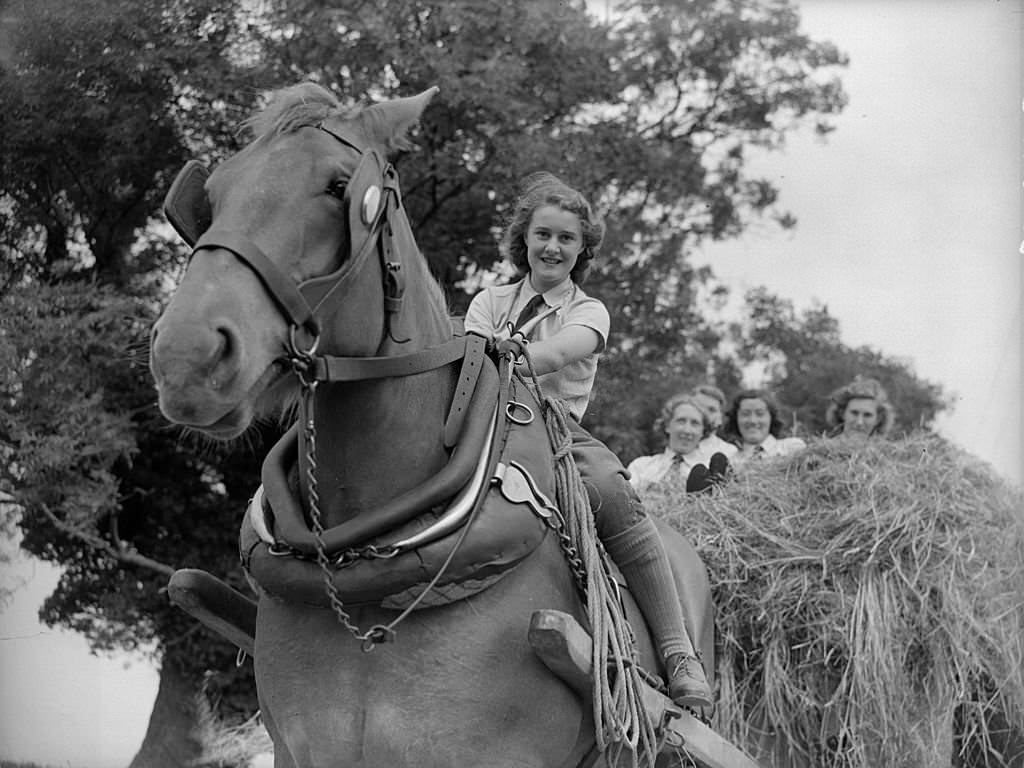 Members of the Essex women's land army homeward bound with a cart full of hay, 25th June 1941