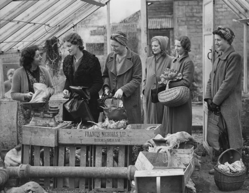 Women evactuated from the bombing in London queue in line to buy fresh vegetables from a box stall on 15th April 1941 at a farm shop in Bishops Cleeve, Gloucestershire, United Kingdom.