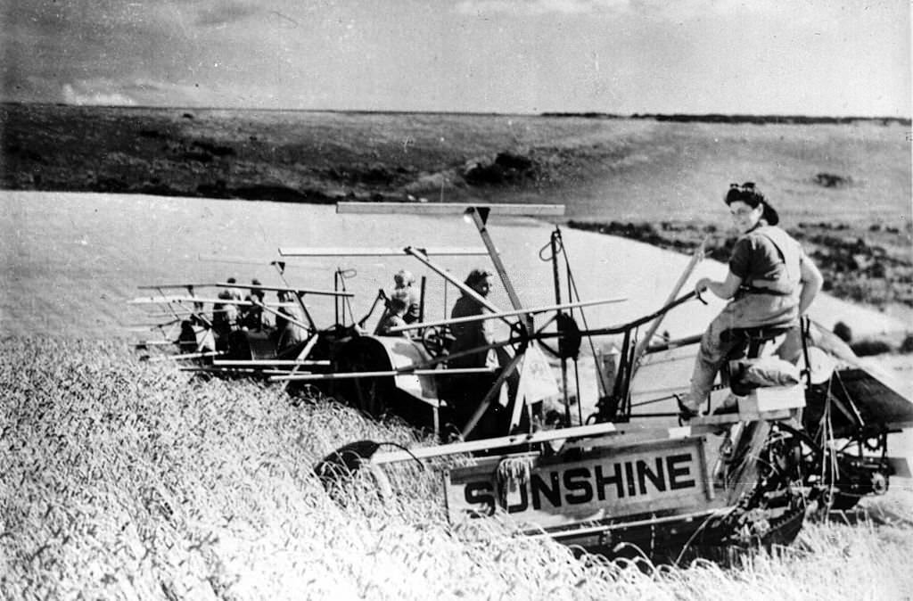 World War II. Harvesters driven by women in England, 1939