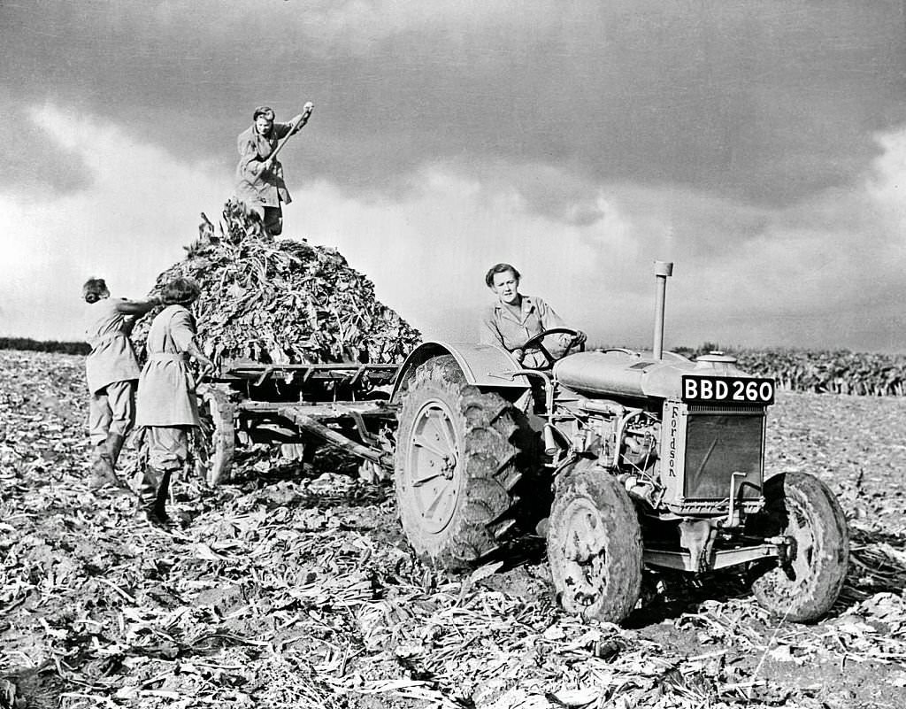 World War two Home front in Britain: Fordson tractor with members of British Women's Land Army, 1940s.