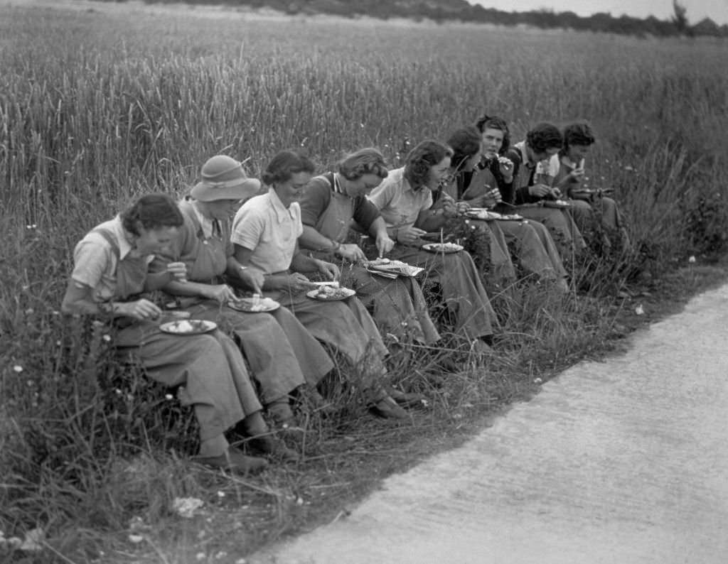 Land girls enjoying their midday meal beside a Kent wheat field, 1941