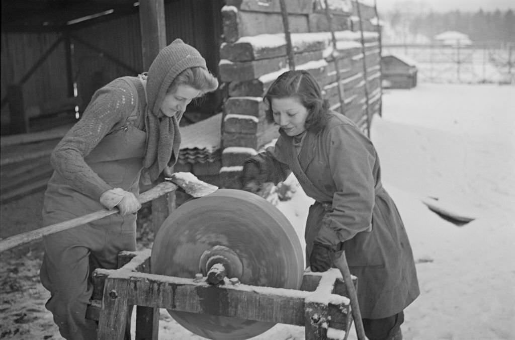 Two new members of the Women's Land Army (WLA), later to become the Women's Timber Corps, pictured operating a sharpening stone to sharpen axes in a wood in England during World War II on 2nd January 1940.