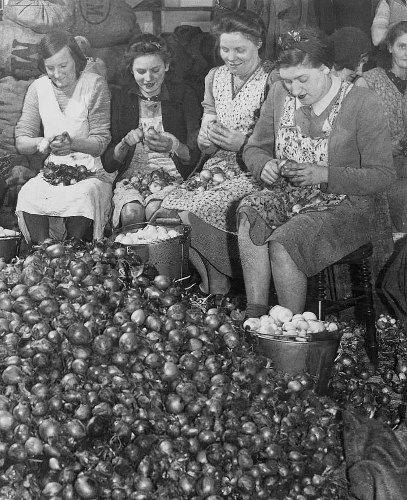 Women workers peeling thousands of onions that will eventually be pickled in jars destined for household dinner tables, 1944