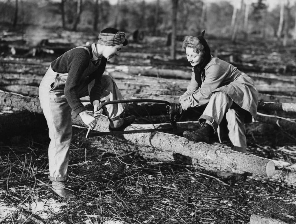 Women's Timber Corps (WTC)