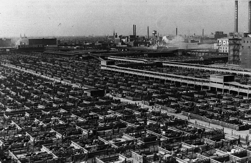 The Union Stockyards in Chicago, Illinois, July 1941