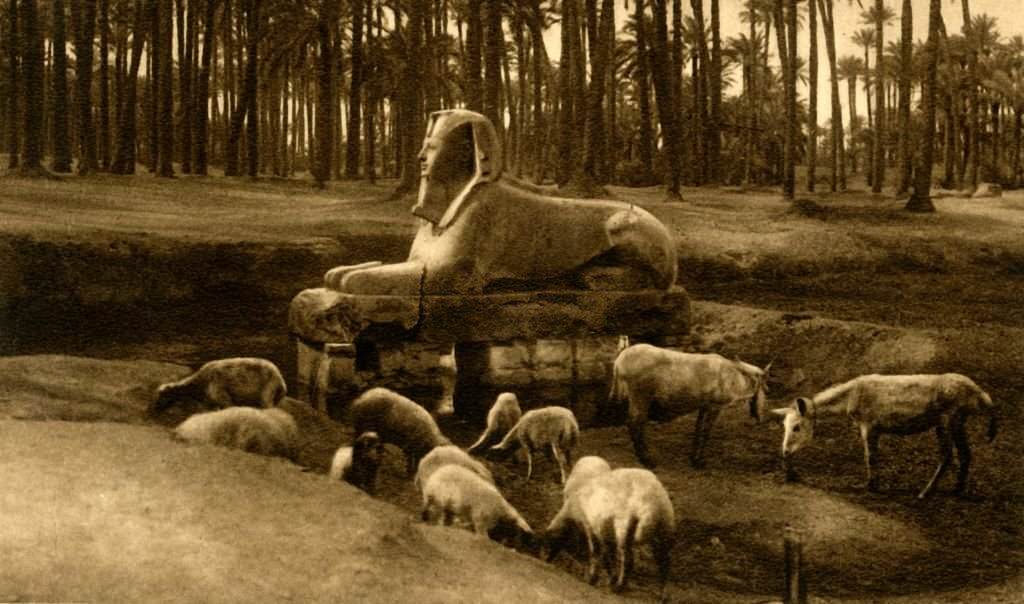 The Alabaster Sphinx, Memphis, 1918
