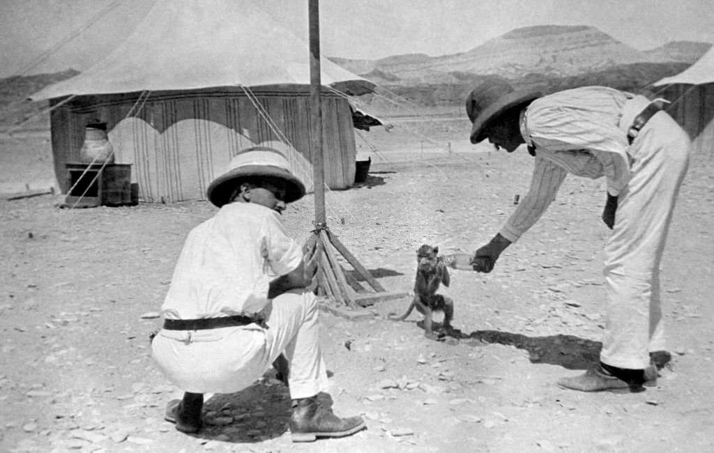 Red sea coast, Egypt, 1912