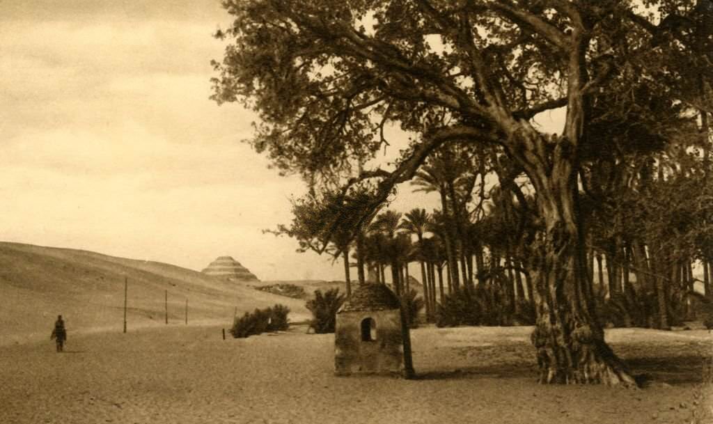The Step Pyramid seen from the Sycomore, 1918