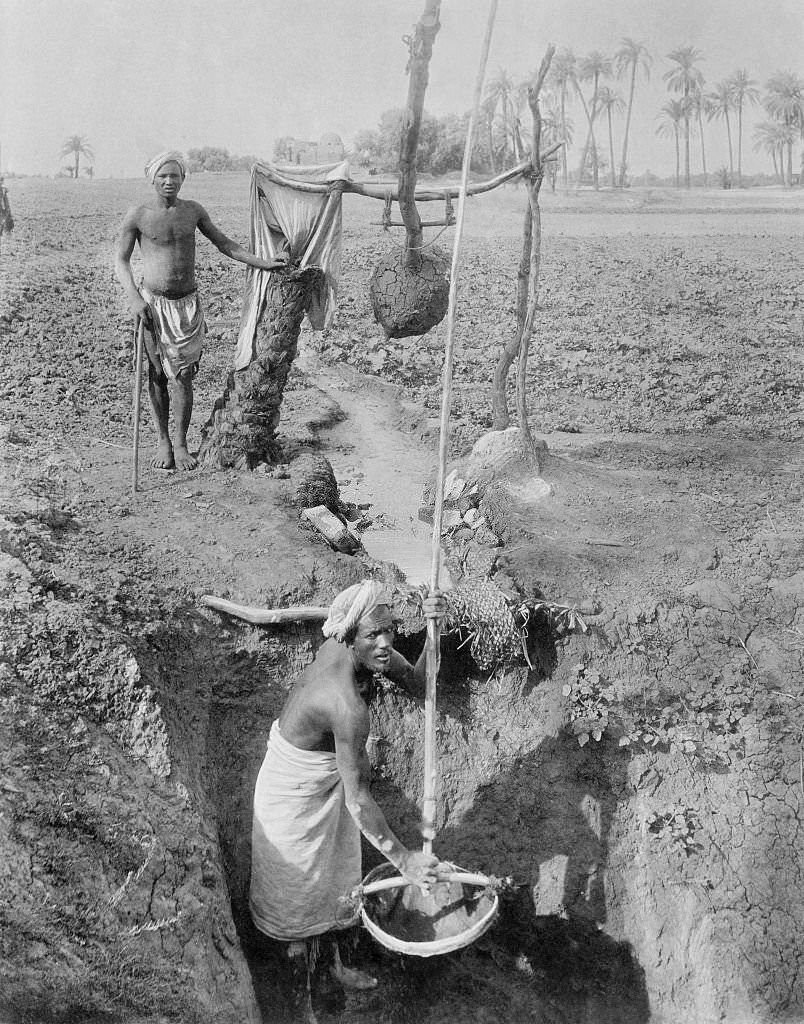 Field irrigation, Egypt, 1910s