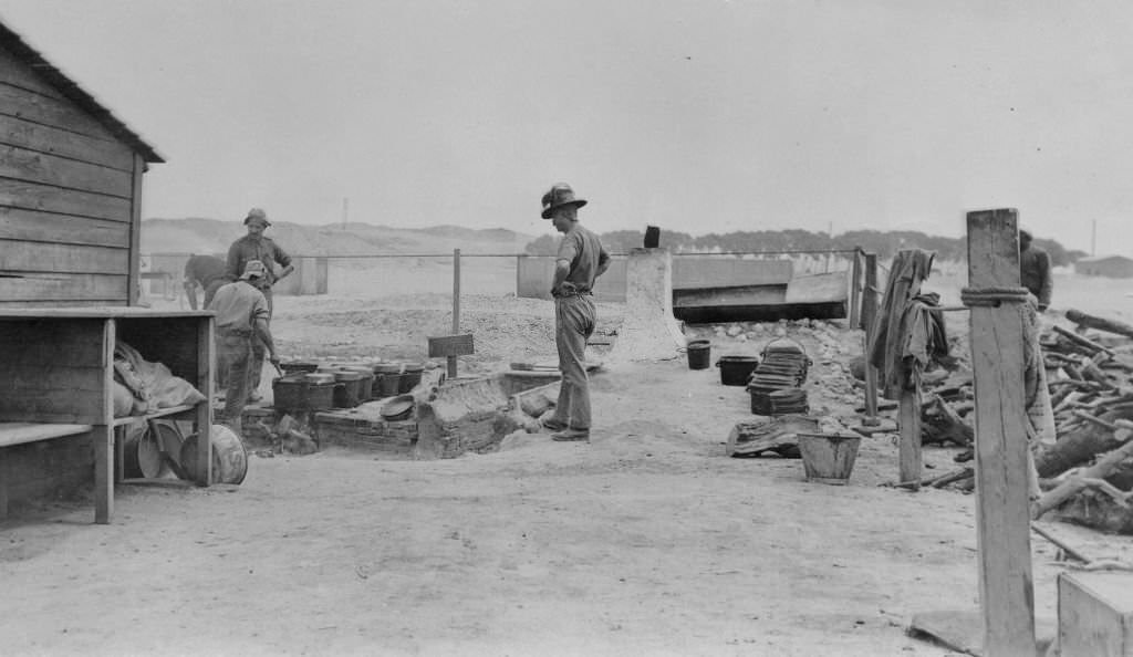 Both man and beast under the British Government are well cared for in every way. A field kitchen belonging to the Australian contingent on the edge of the forest in Egypt