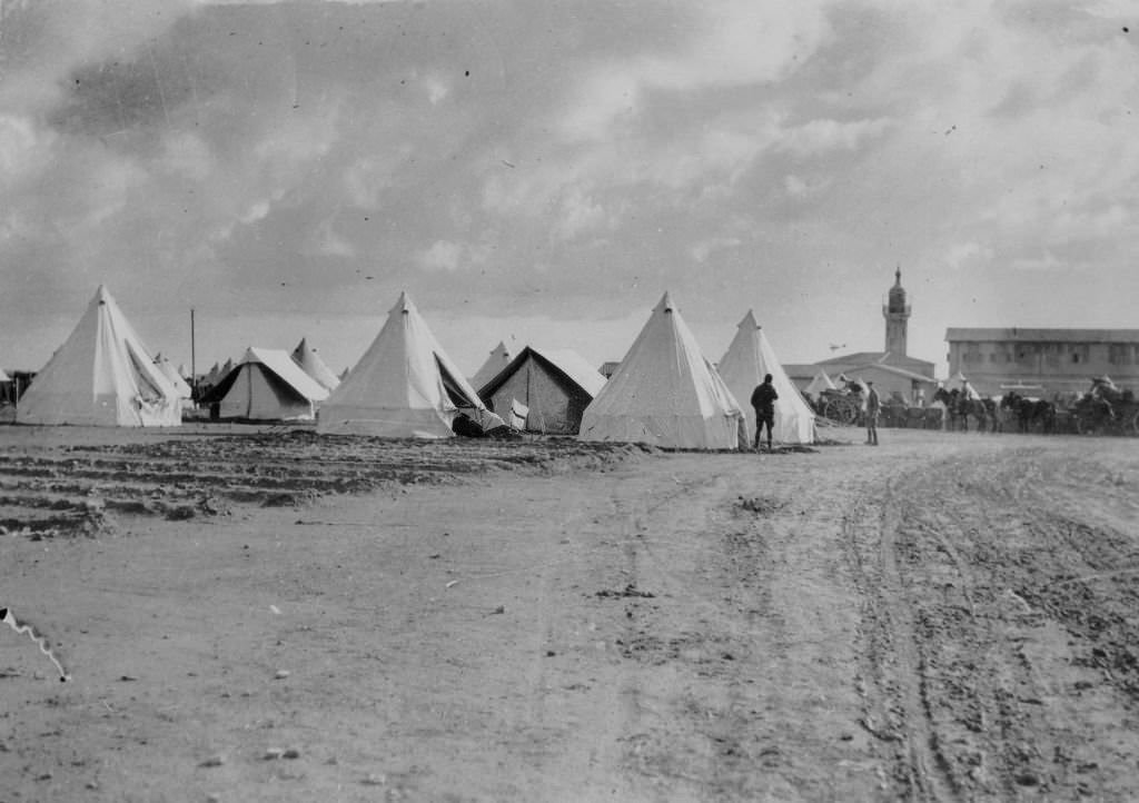 Great success is attending the operations of British troops, largely composed of Yeomanry, against the tribesmen in Western Egypt.