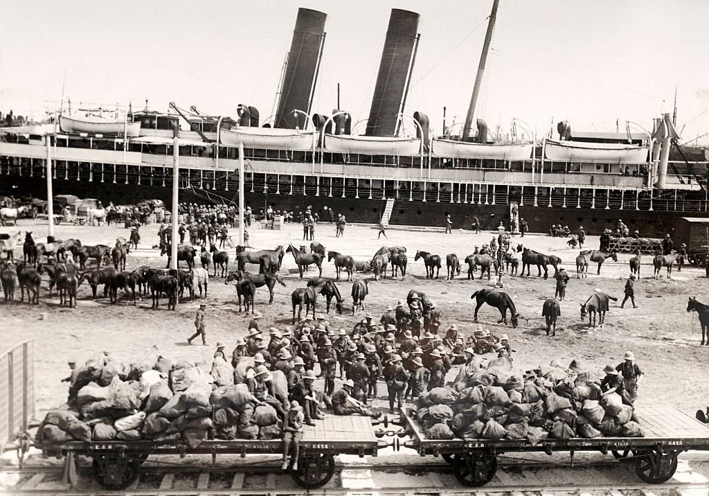 Quayside at Alexandria - World War One, 1915