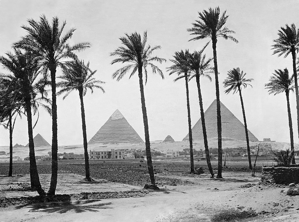 Landscape with palm trees, in the background the Giza pyramid complex, 1913