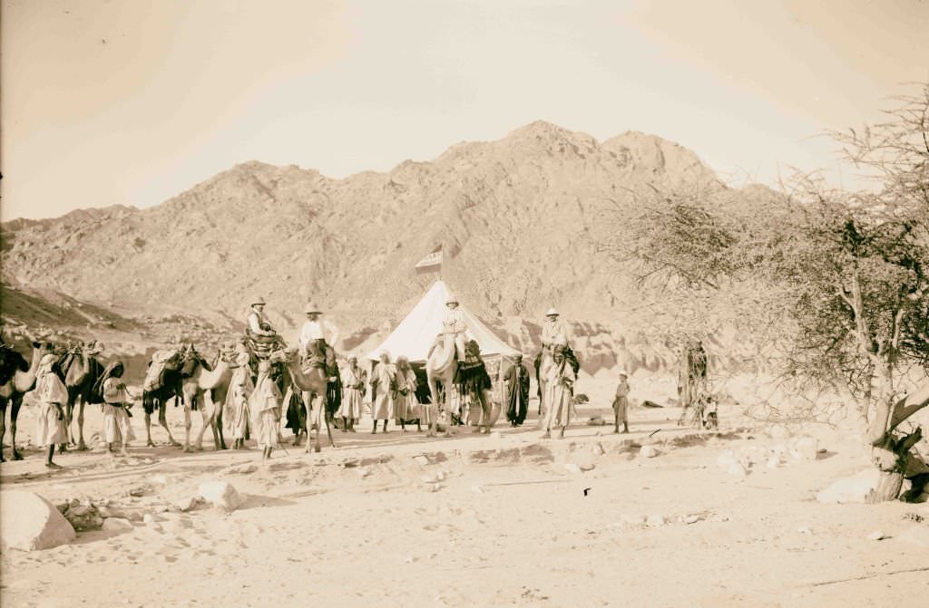 Expedition camp in the Sinai, Lewis Larsson on camel directly in front of tent, 1910