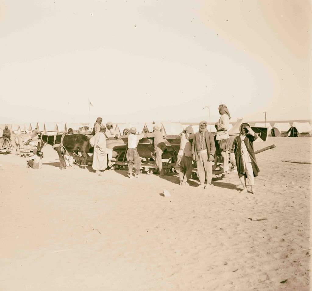 Setting up hospital tents in Sinai, 1917