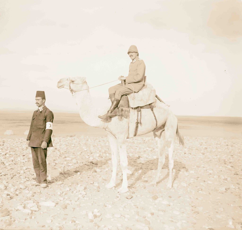 Turk officers & camel in Sinai campaign, 1917