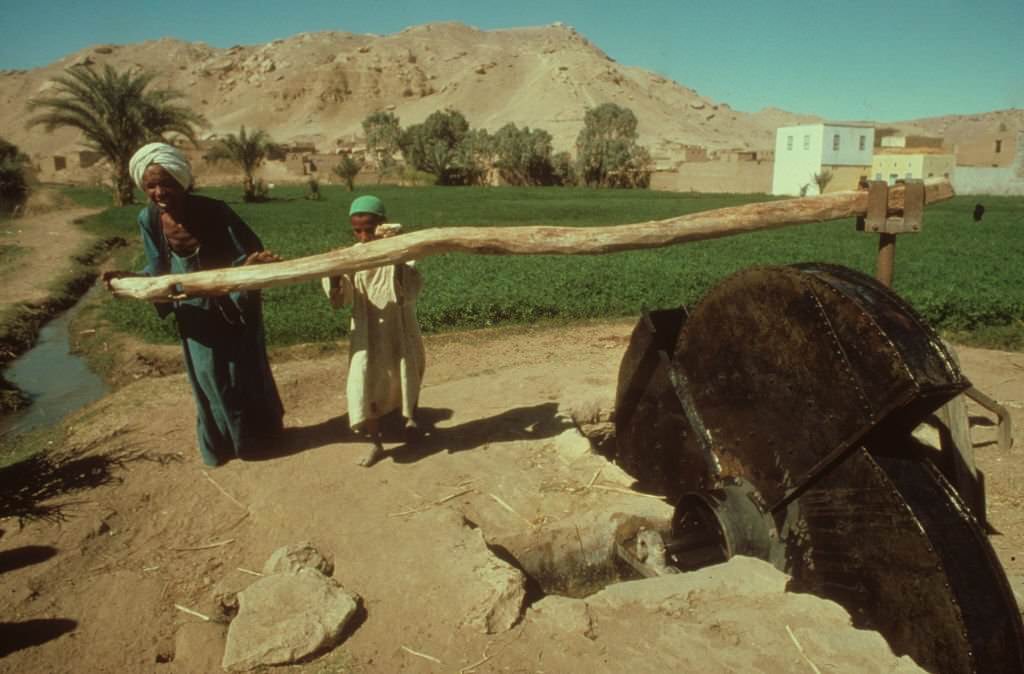 A farmer and his son pushing the wheel for the water pump to water their field next to the Nile river.