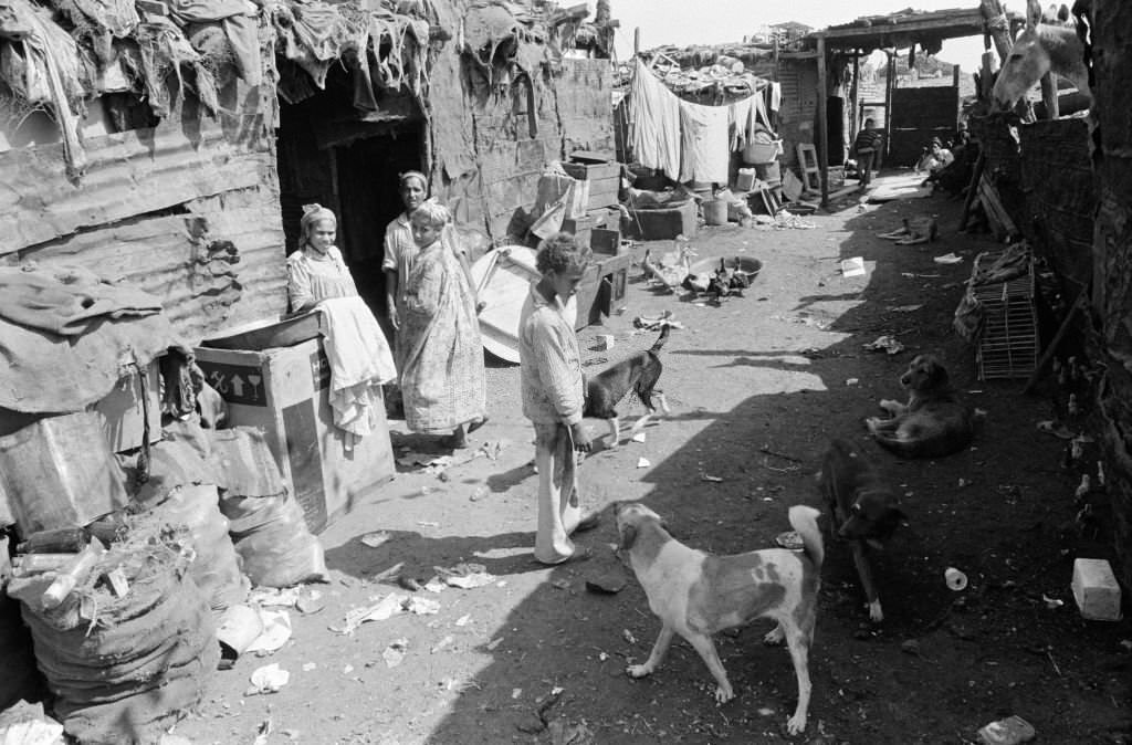 Street scene in a slum on the outskirts of Cairo in October 1978, Egypt.