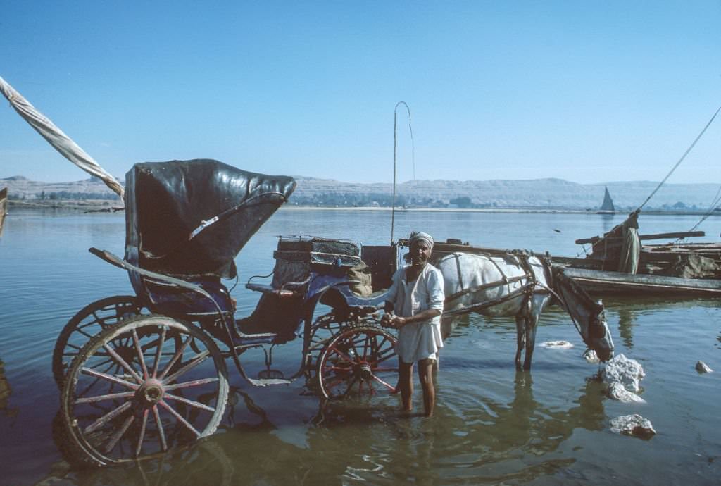A man washing his horse carriage standing in the river bed of the Nile.