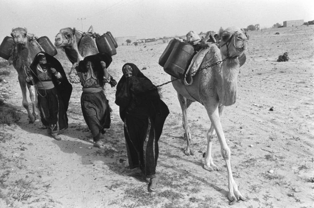 Bedouin women in Sinai, January 1978.