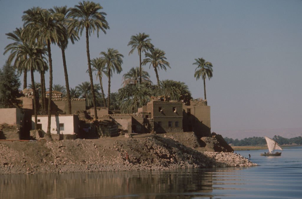 Buildings on the shoreline of the Nile river.