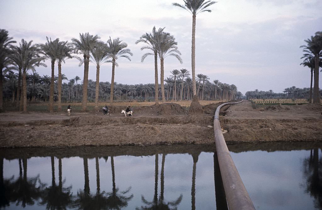 The Nile, 1976